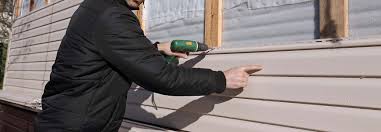 Best Aluminum Siding Installation  in Flat Rock, NC